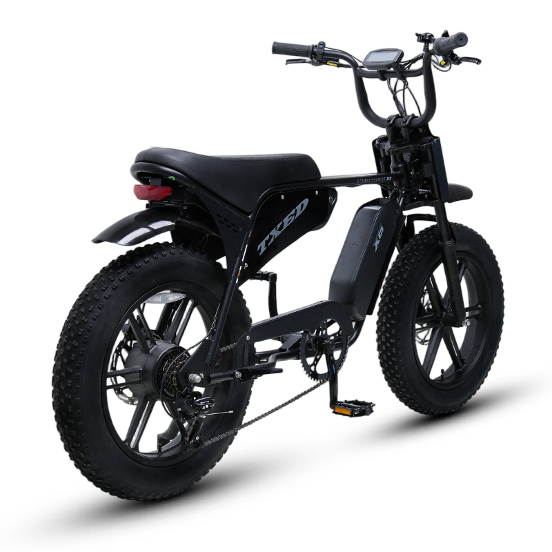 Maverick PRO-1500W removable 48V 26Ah dual battery pack detail