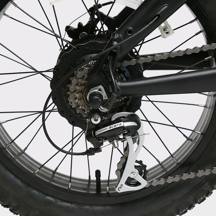 TXED 20” Folding Electric Bike – 750W Hub Motor-F1 PRO