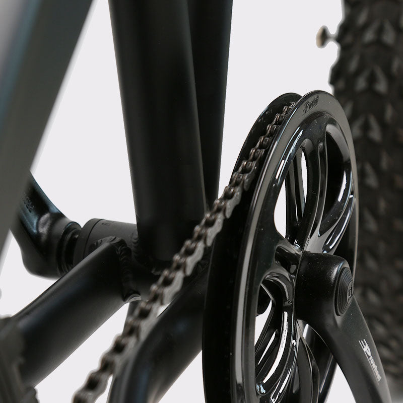 TXED 20” Folding Electric Bike – 500W Hub Motor-F1