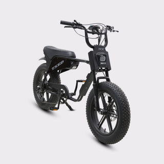 Maverick-1500W electric bike for delivery riders high payload cargo capacity