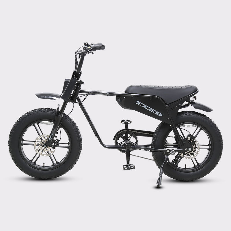 Maverick-1500W 20x4.0 fat tires all-terrain electric bike for sand snow and urban streets