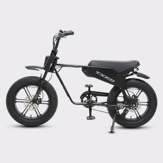 Maverick-1500W bundle each bike 20x4.0 fat tires for sand snow urban adventure