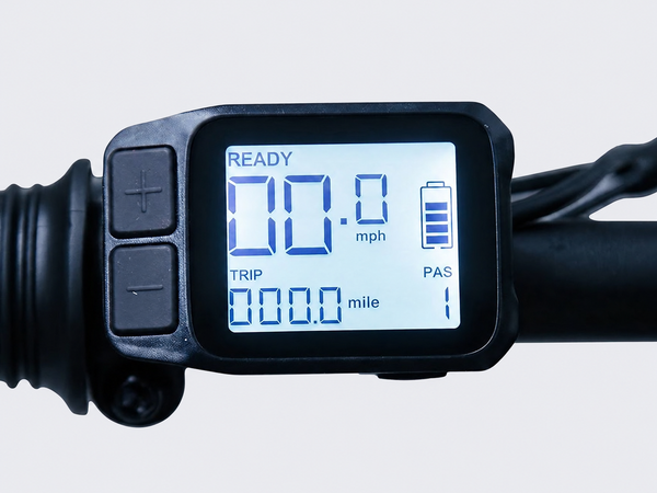 TXED Trail display on light grey studio background